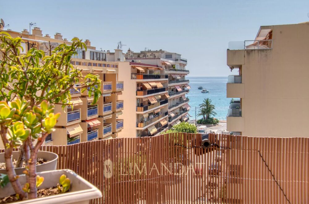 à vendre  Appartement Roquebrune-Cap-Martin (06190)