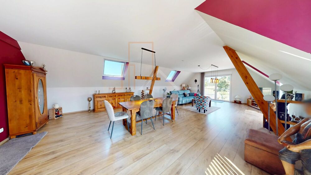 Vente Maison Exceptionnelle propriété de 35 ares avec maison contemporaine de Rountzenheim-auenheim