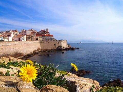 Local commercial 840000 06600 Antibes