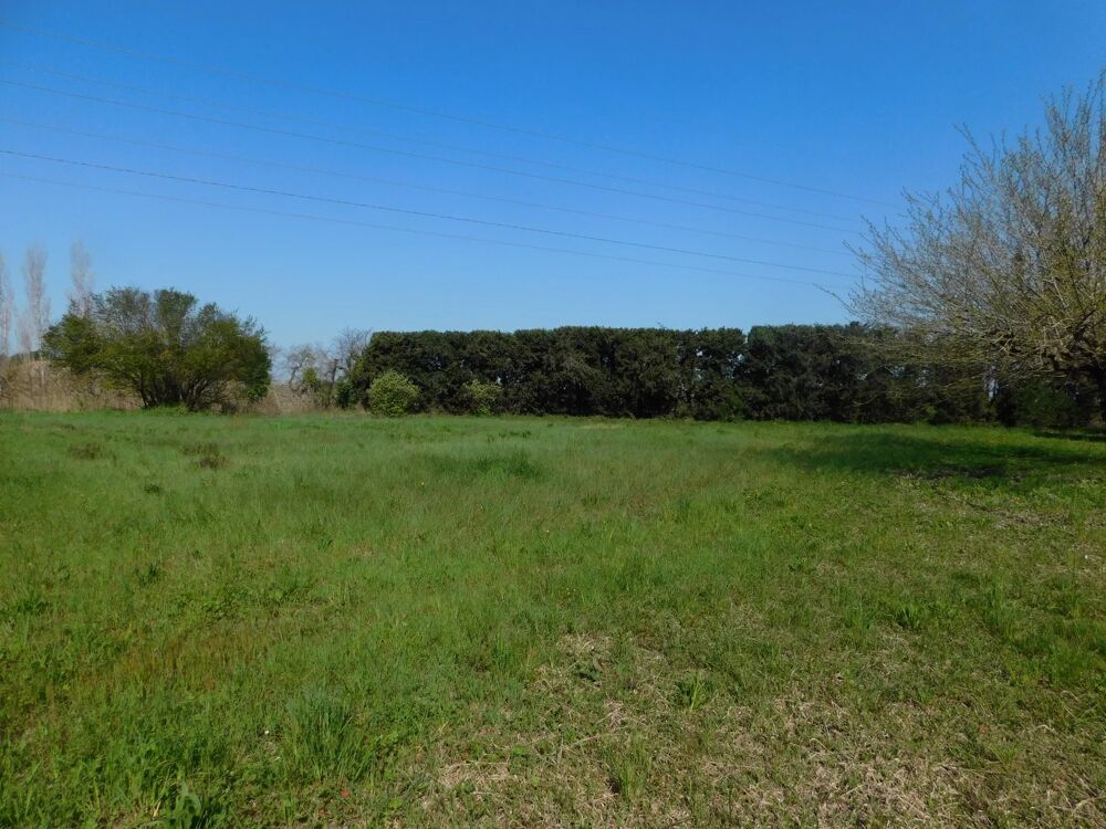 � vendre  Maison Arles (13200)