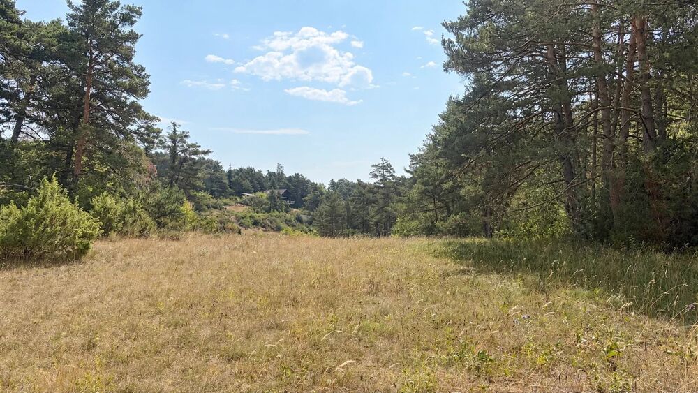 Vente Terrain Terrain constructible de 1 990 m² – Un cadre naturel privilégié Andon