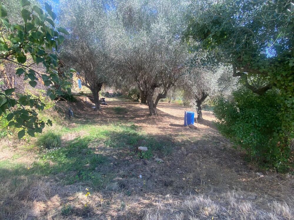 � vendre  Maison Contes (06390)