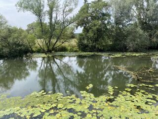  Maison � vendre 46 m�