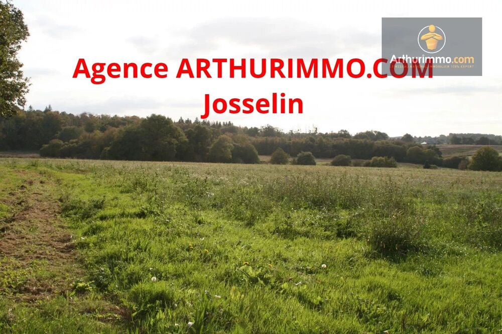Vente Terrain GUEGON TERRAIN 10.3 HECTARES Guégon