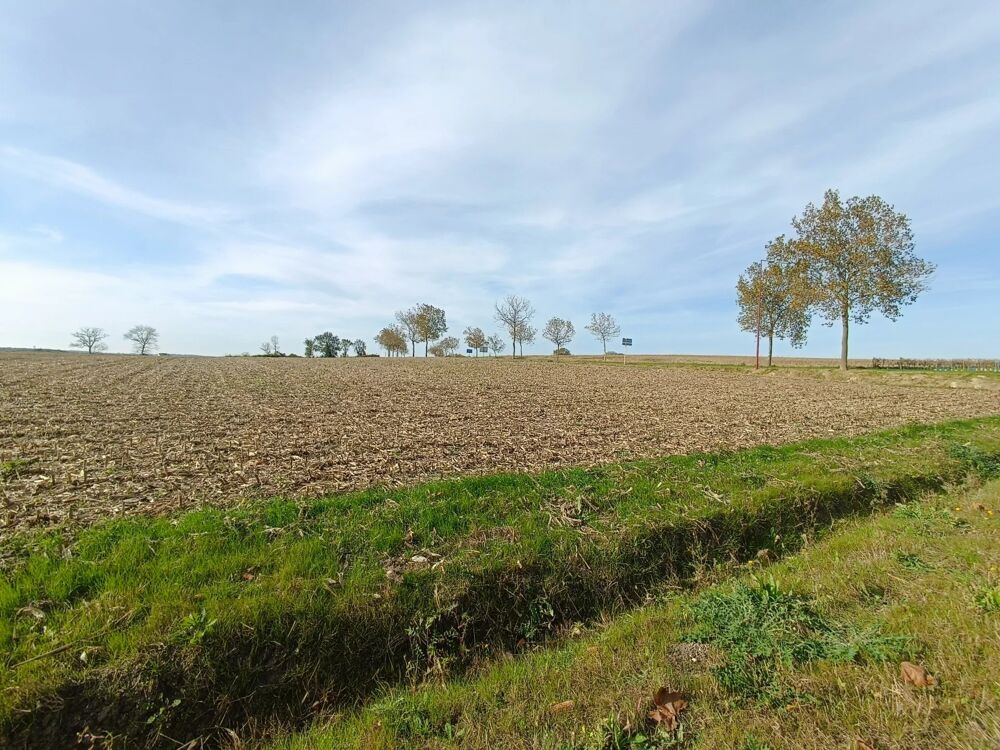 Vente Terrain MIRAMBEAU : TERRAIN CONSTRUCTIBLE À VOCATION COMMERCIALE – PERMI Mirambeau