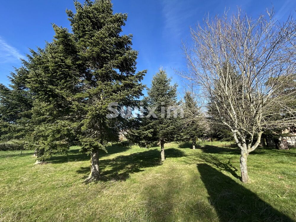 Vente Terrain Terrain constructible avec dépendance – Un projet à imaginer Sainte-magnance