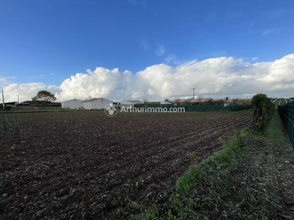Vente Terrain Terrain constructible secteur BRIZAMBOURG Bercloux