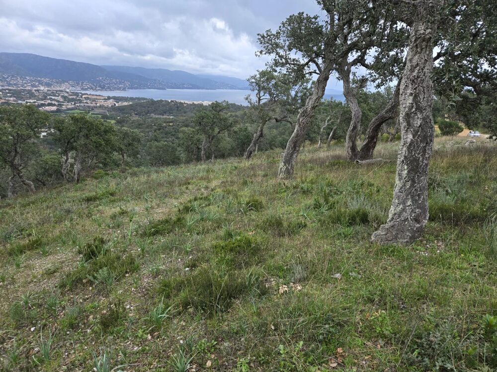 Vente Terrain Terrain Non Constructible à Bormes-les-Mimosas Bormes-les-mimosas