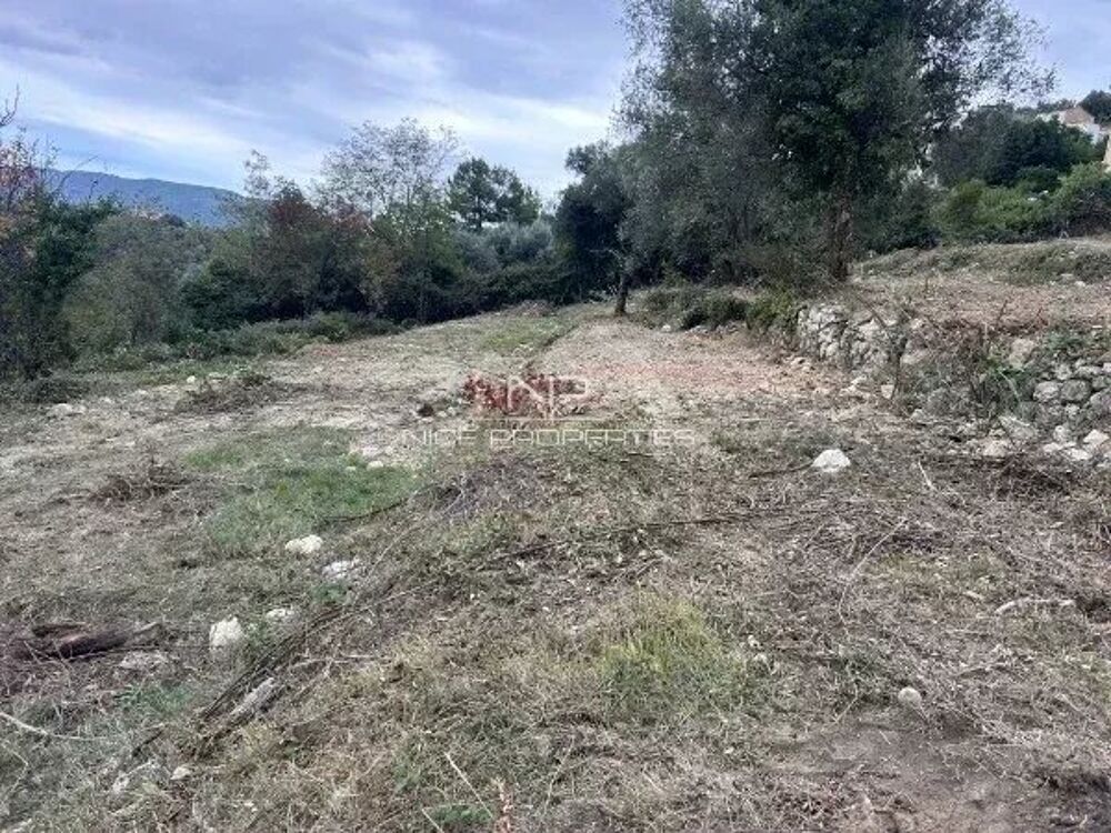 Vente Terrain Falicon, magnifique terrain constructible avec 17 lots dont 10 i Falicon