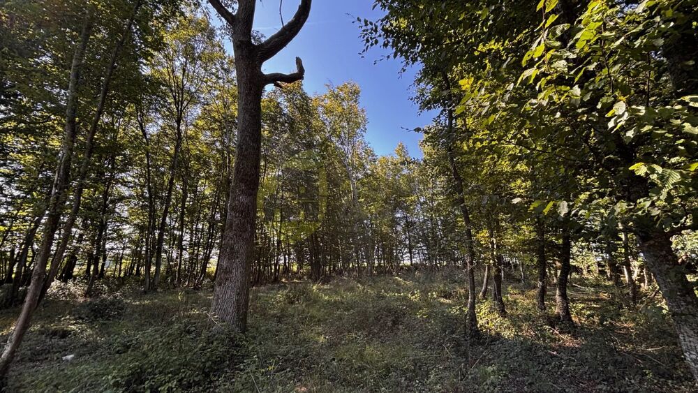 à vendre  Maison Neuillay-les-Bois (36500)