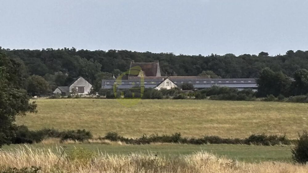 à vendre  Maison Neuillay-les-Bois (36500)
