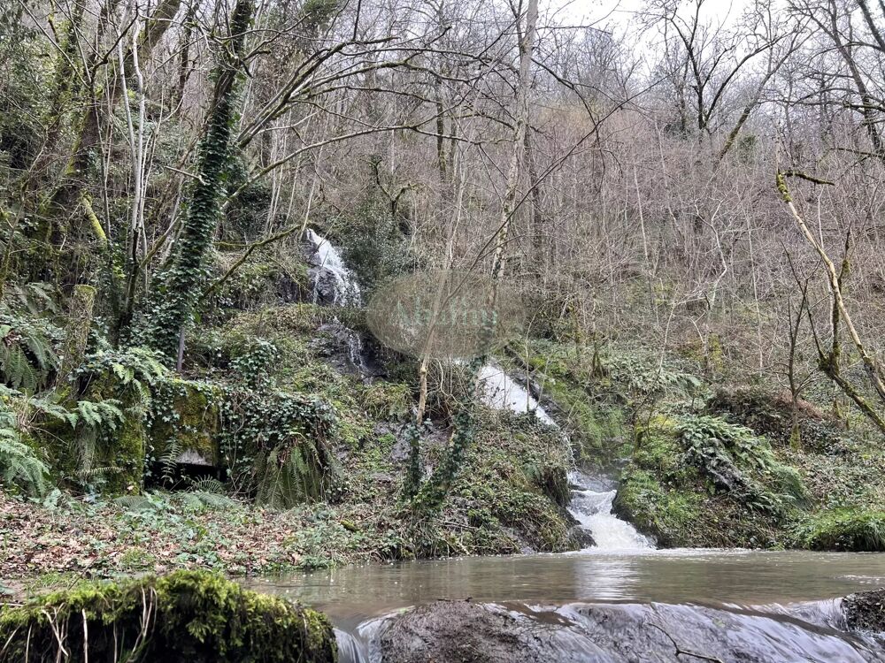 Ancien Moulin Cadre Bucolique