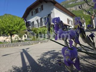  Maison � vendre 4 pi�ces 118 m�