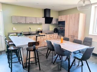  Maison � vendre 15 + pi�ces 309 m�