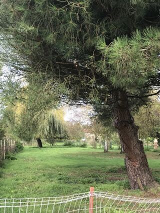  Terrain � vendre 1 pi�ce 1197 m�