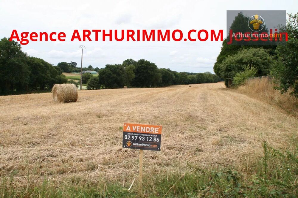 Vente Terrain GUEGON TERRAIN 2.28 HECTARES Gu�gon