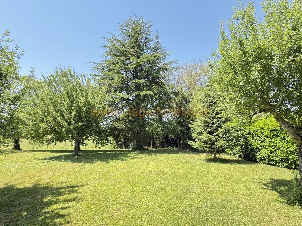 Réf. 10 105 - VENTE A TERME LIBRE - VILLETTE SUR AIN (01)
