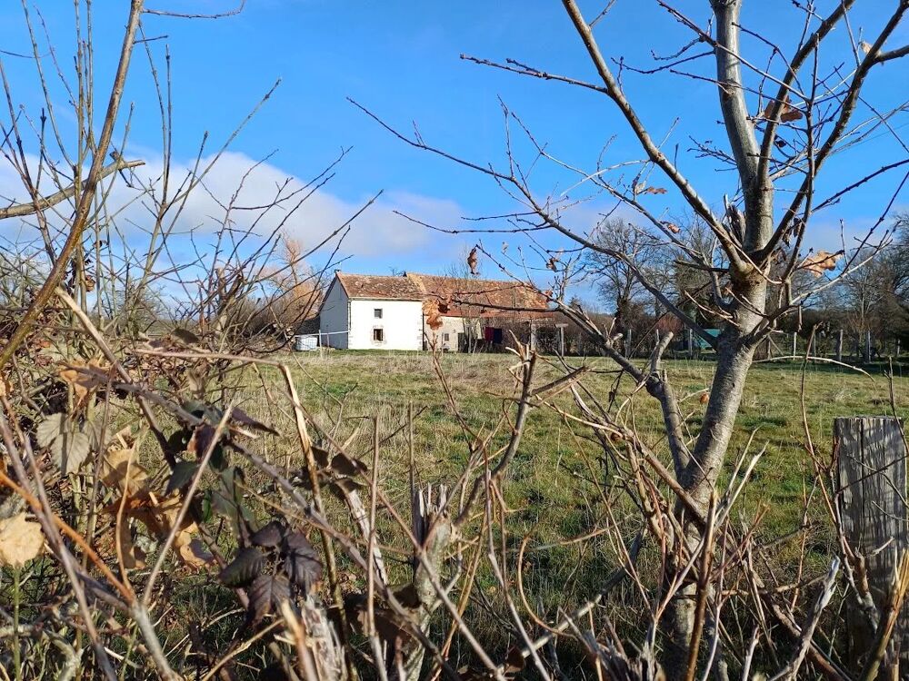 Vente Maison A vendre dans la Creuse, maison et grange sur plus de 1 ha. Chnrailles