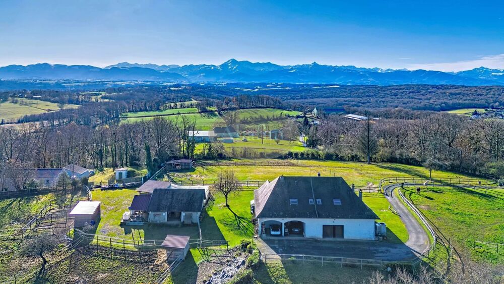 Propriété équestre vue Pyrénées