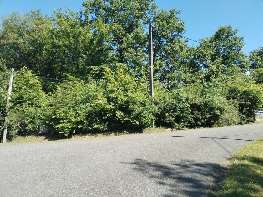 Vente Terrain TERRAIN À BÂTIR 2 336 M² - LOTISSEMENT Bazoches-sur-le-betz