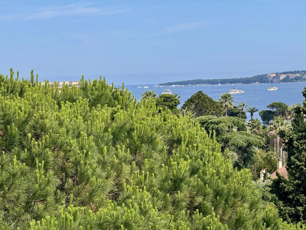 Cannes Vente 3 pièces à 2 pas des plages