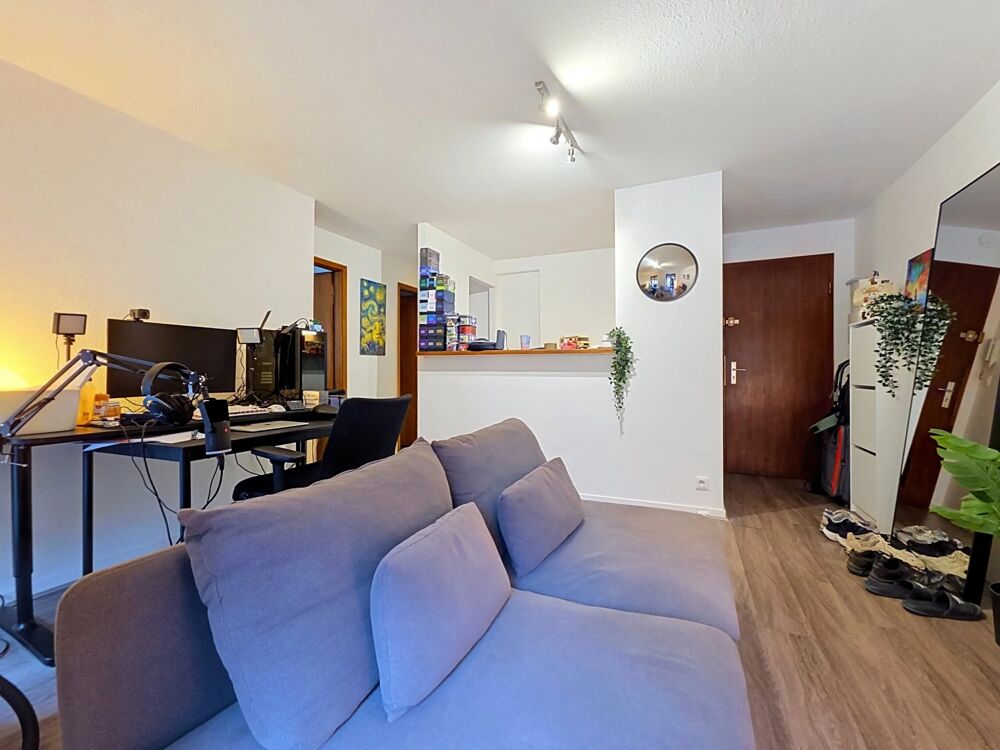 Vente Appartement Centre ville, appartement 2 pièces rénové vendu loué Strasbourg
