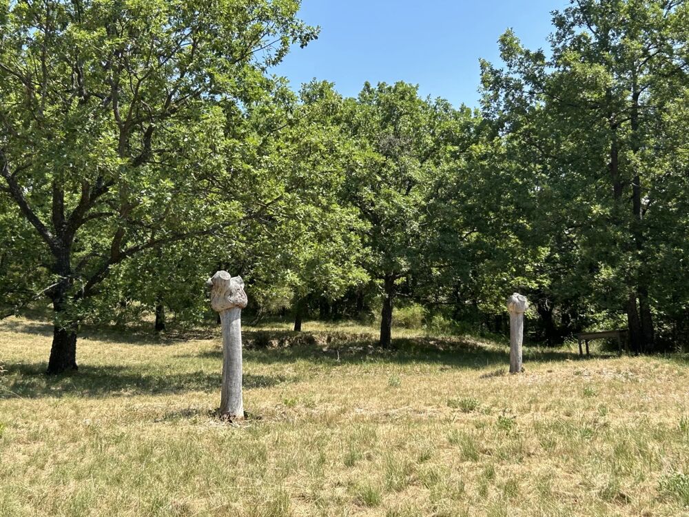 � vendre  Maison Digne-les-Bains (04000)