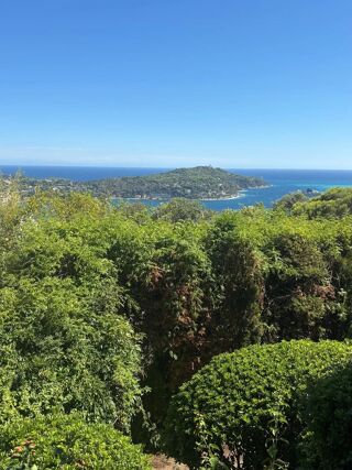 Appartement à vendre 1 pièce 24 m²
