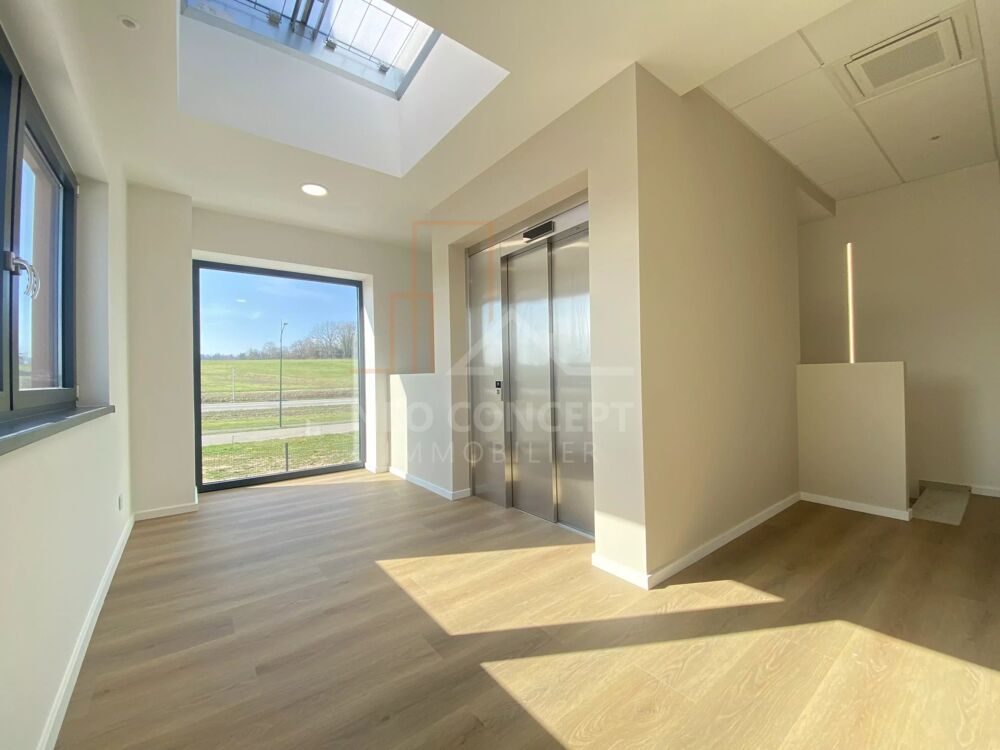   Location de bureaux – Zone d'activité de Wissembourg Wissembourg