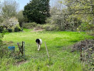  Terrain  vendre 3066 m