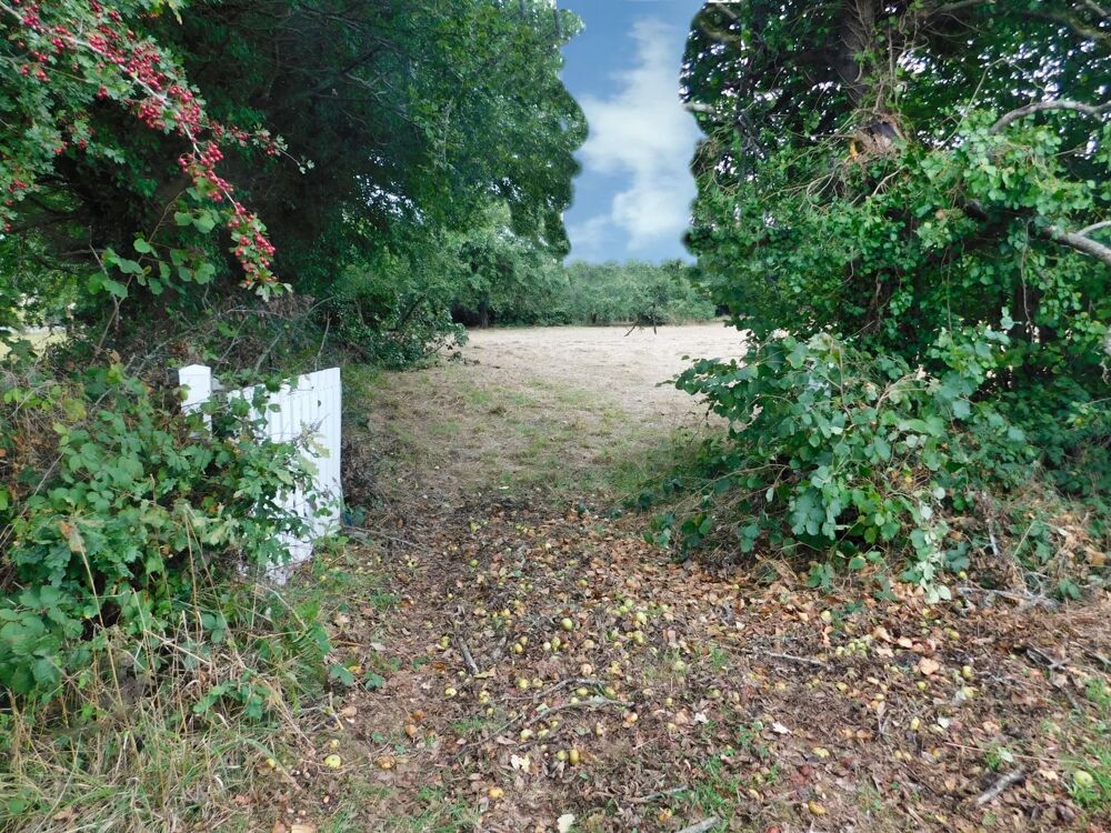 Vente Terrain CLEDEN-POHER, en campagne Cléden-poher