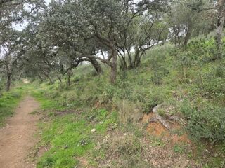  Terrain � vendre 27425 m�