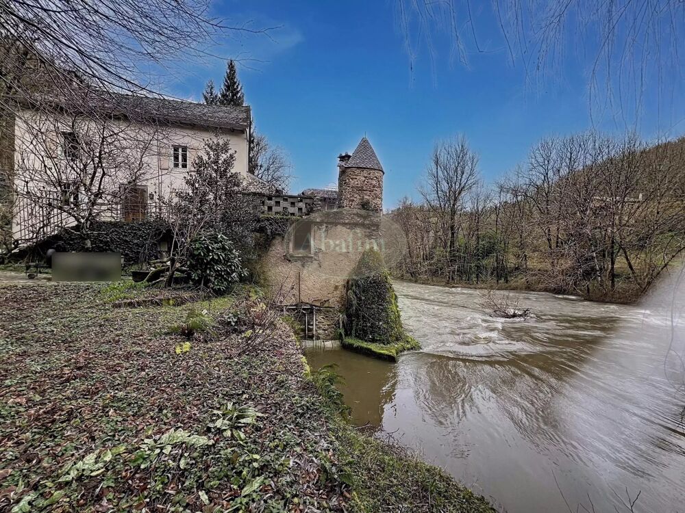 Ancien Moulin Cadre Bucolique