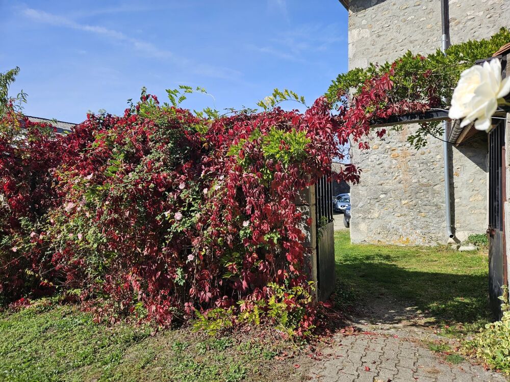 Maison/Villa 15 pièces