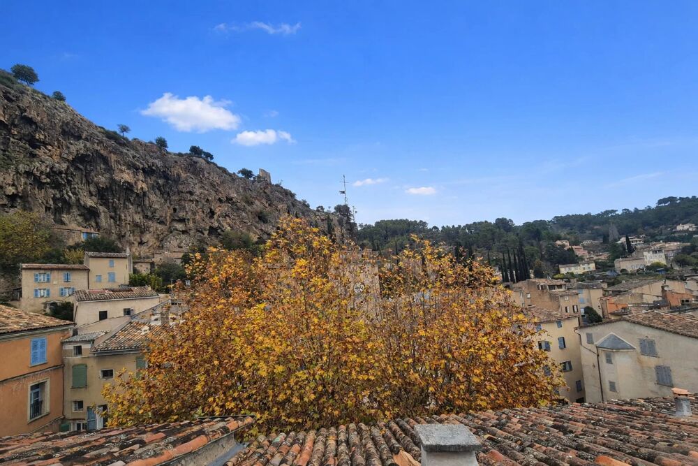 Ensemble de 2 appartements et une superbe terrasse sur le toit!