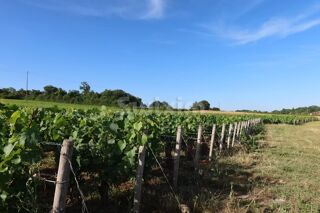  Terrain  vendre 1038 m