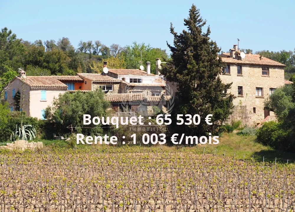 Vente Maison Vente en viager occupé à Plan de la Tour Le plan-de-la-tour