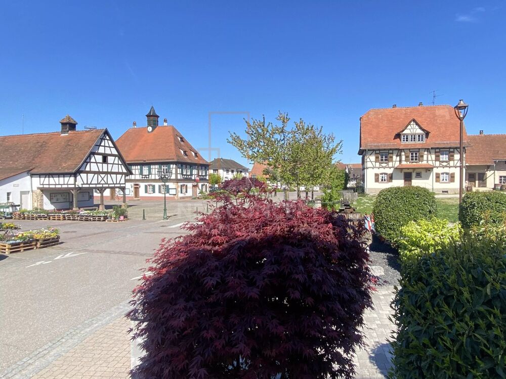 Vente Maison Maison 5 pièces - 141m² + dépendance + espace vert. Seebach