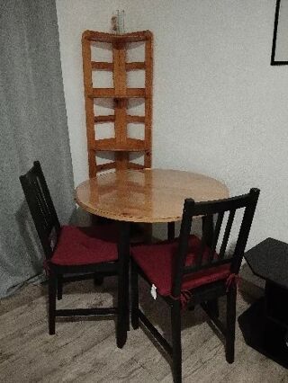  Appartement � louer 1 pi�ce 20 m�