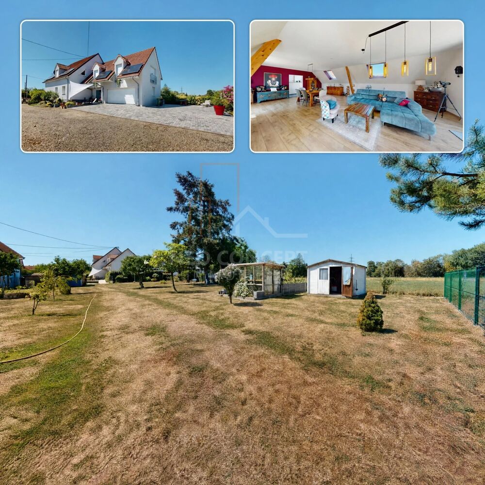 Vente Maison Exceptionnelle propriété de 35 ares avec maison contemporaine de Rountzenheim-auenheim