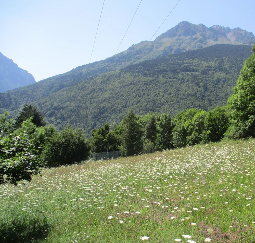 Vente Terrain TERRAIN VAUJANY Vaujany