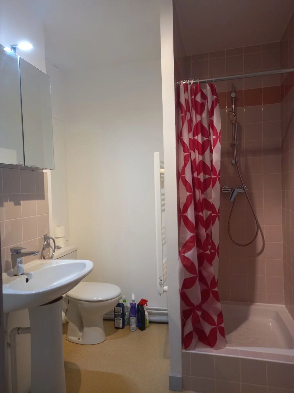 Location Appartement STUDIO~MEUBLÉ LE MANS CHASE ROYALE Le mans
