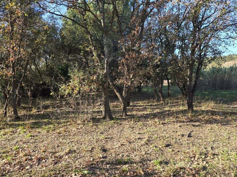 Vente Terrain Terrain Agricole à Bormes-les-Mimosas, 1056 m² Dispo Bormes-les-mimosas