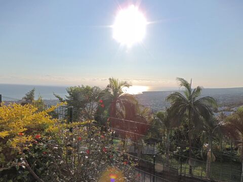  Appartement � louer 1 pi�ce 31 m�