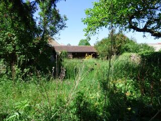  Appartement � vendre 12 pi�ces 265 m�