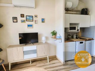  Appartement  vendre 1 pice 17 m