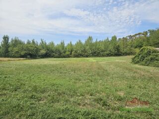  Terrain à vendre 3 pièces 6700 m²