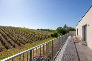  Villa à vendre 12 pièces 500 m²