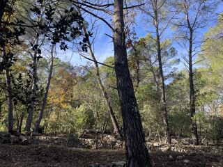  Terrain � vendre 3005 m�