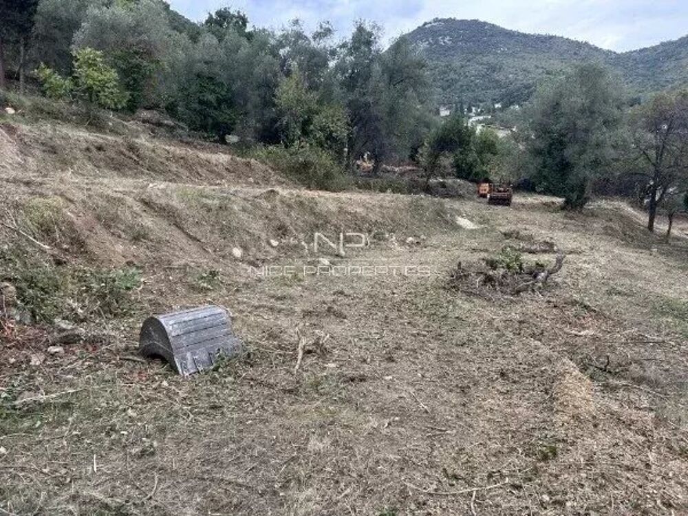 Vente Terrain Falicon, magnifique terrain constructible avec 17 lots dont 10 i Falicon